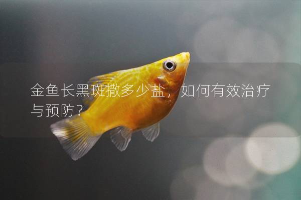 金魚長黑斑撒多少鹽，如何有效治療與預防？